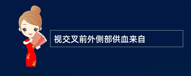 视交叉前外侧部供血来自