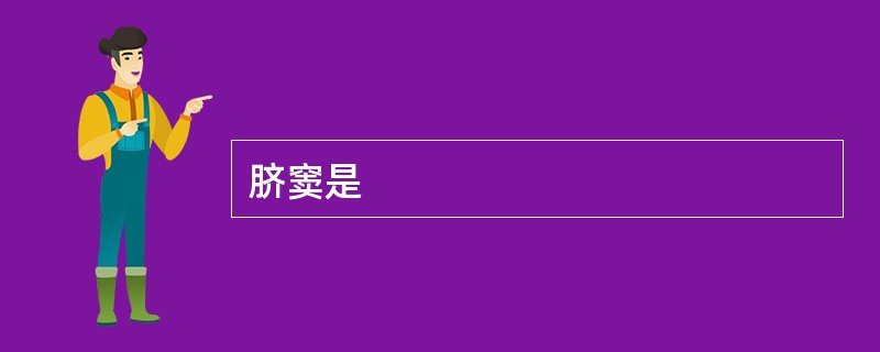 脐窦是