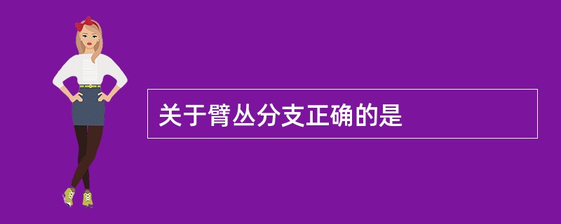 关于臂丛分支正确的是