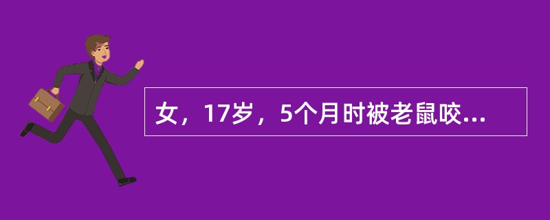 女，17岁，5个月时被老鼠咬伤鼻部，导致鼻半侧缺损已超过中线及鼻尖，预行修复应考虑行（　　）。