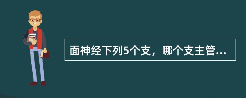 面神经下列5个支，哪个支主管眼睑闭合？（　　）