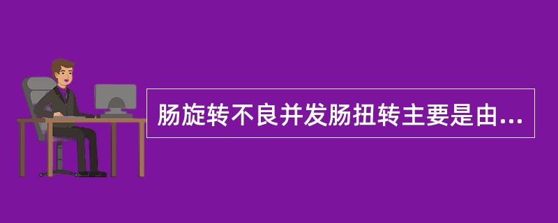 肠旋转不良并发肠扭转主要是由于（　　）。
