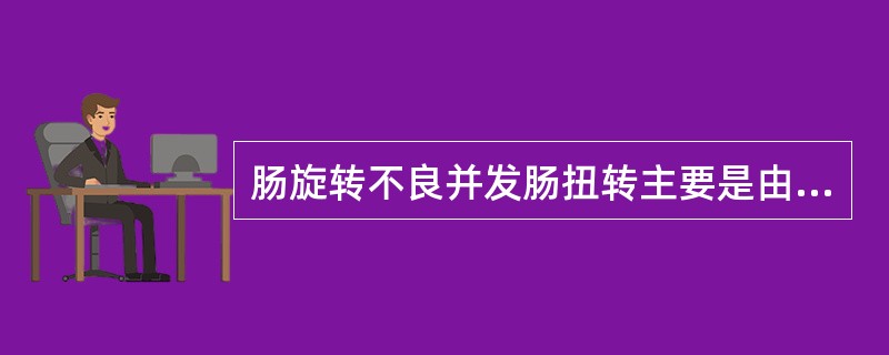 肠旋转不良并发肠扭转主要是由于（　　）。