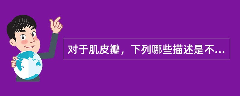 对于肌皮瓣，下列哪些描述是不恰当的？（　　）