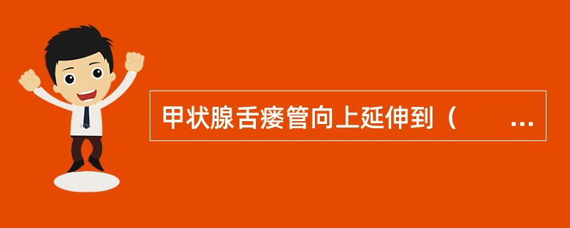 甲状腺舌瘘管向上延伸到（　　）。