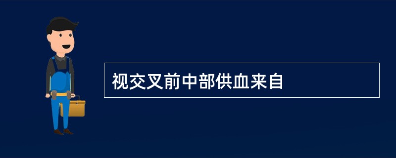 视交叉前中部供血来自