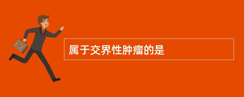 属于交界性肿瘤的是