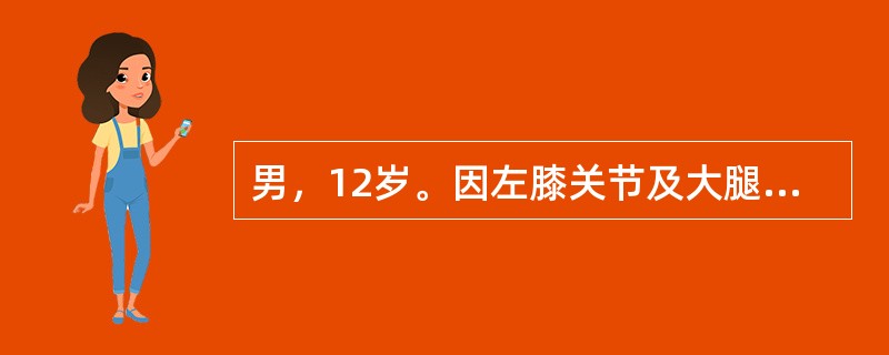 男，12岁。因左膝关节及大腿间歇性疼痛及跛行1年就诊。该患儿若X线检查有股骨头及髋臼骨质破坏，股骨头密度不均匀，关节间隙明显变窄，首先考虑下列哪种疾病？（　　）