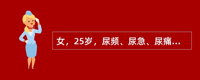 女，25岁，尿频、尿急、尿痛1年余，有时尿浑浊，服用多种抗生素治疗效果不好，尿常规检查：pH5.0，比重020，红细胞30～40个/HP，白细胞和脓球满视野，蛋白(++)。最可能的诊断为