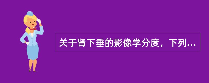 关于肾下垂的影像学分度，下列哪项是不正确的？（　　）