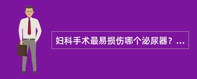 妇科手术最易损伤哪个泌尿器？（　　）