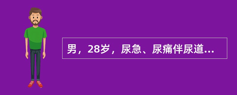 男，28岁，尿急、尿痛伴尿道口脓性分泌物2天就诊，患者否认有不洁性行为史。患者尿道分泌物涂片检查发现白细胞，其内有革兰阴性双球菌，该患者应诊断为（　　）。