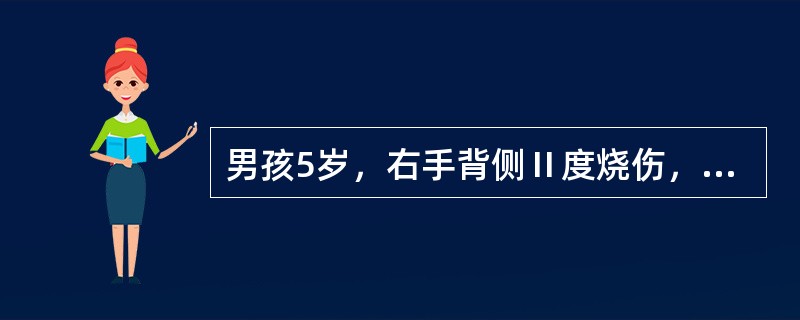 男孩5岁，右手背侧Ⅱ度烧伤，左手掌侧I度烧伤，其烧伤面积为（　　）。