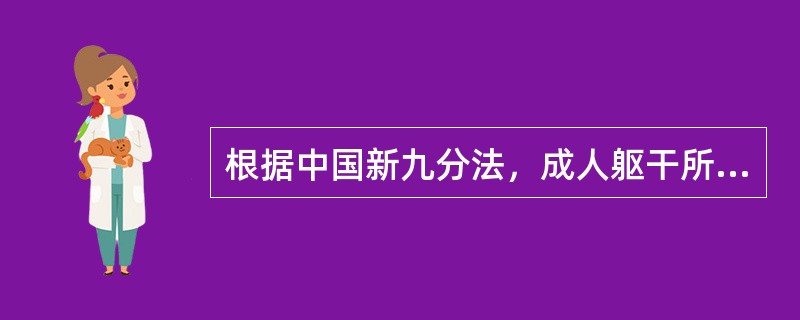 根据中国新九分法，成人躯干所占比例为