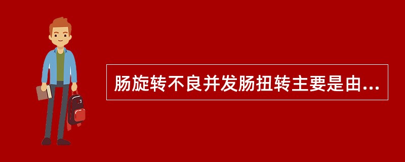 肠旋转不良并发肠扭转主要是由于（　　）。