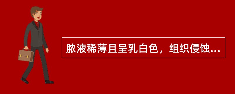 脓液稀薄且呈乳白色，组织侵蚀明显，最有可能的致病菌是（　　）。