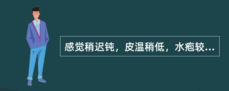 感觉稍迟钝，皮温稍低，水疱较小的是（　　）。