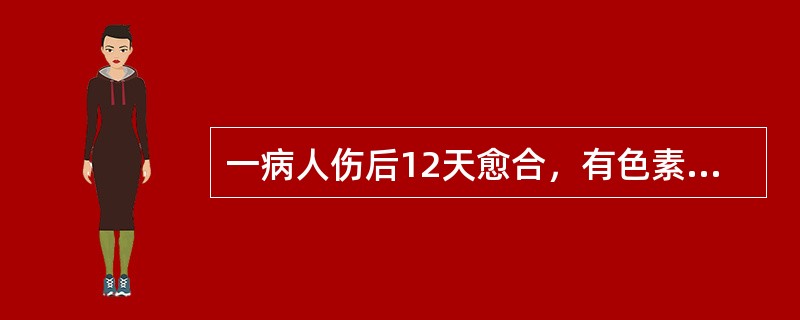 一病人伤后12天愈合，有色素沉着，当时烧伤深度为（　　）。