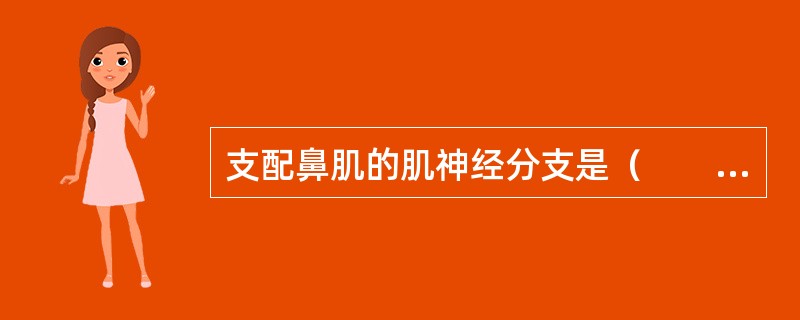 支配鼻肌的肌神经分支是（　　）。