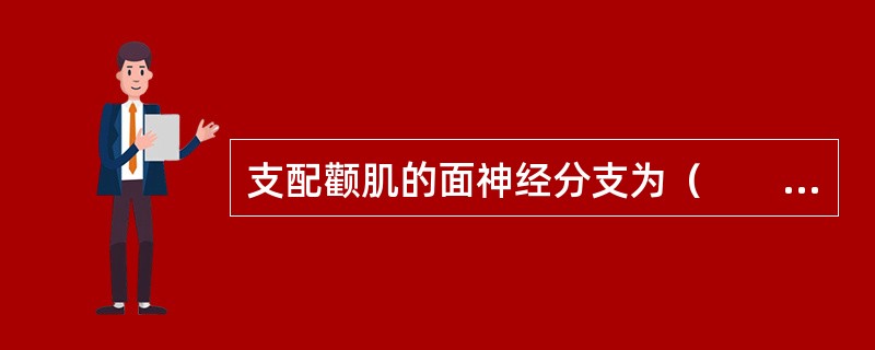 支配颧肌的面神经分支为（　　）。