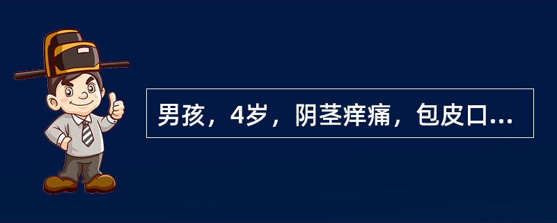 男孩，4岁，阴茎痒痛，包皮口排出乳白色豆腐渣样物。检查发现包皮水肿，阴茎头红，包皮与阴茎头粘连，包皮内可及1个黄豆大的小结节。考虑诊断为（　　）。