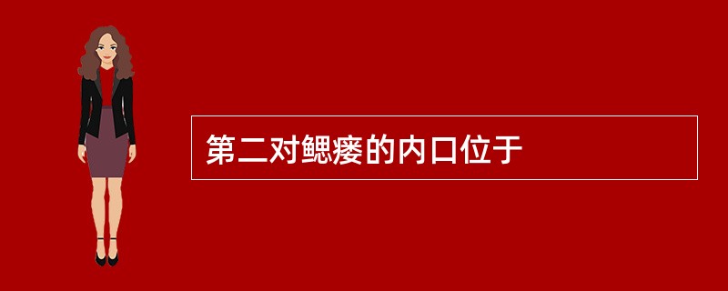 第二对鳃瘘的内口位于