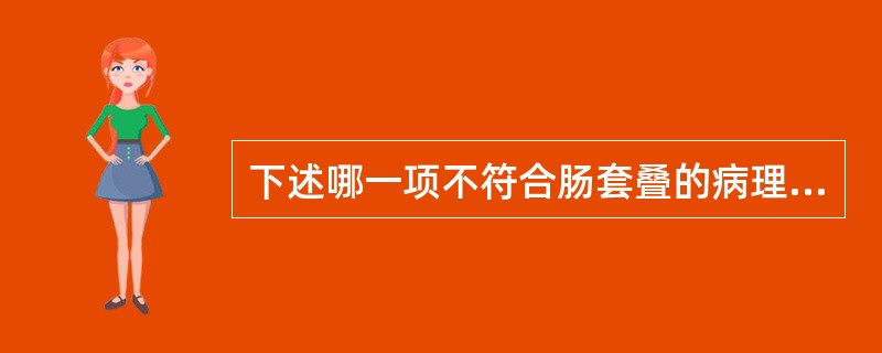 下述哪一项不符合肠套叠的病理改变？（　　）