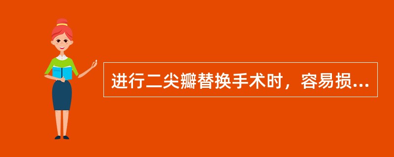 进行二尖瓣替换手术时，容易损伤哪支冠状动脉