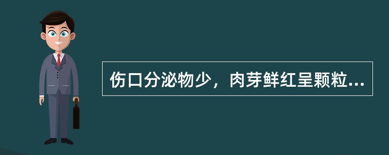 伤口分泌物少，肉芽鲜红呈颗粒状，高出皮肤