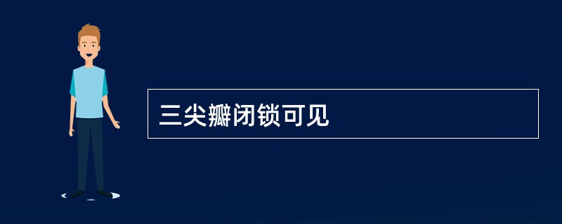 三尖瓣闭锁可见