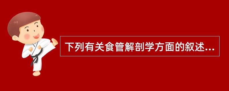 下列有关食管解剖学方面的叙述错误的是