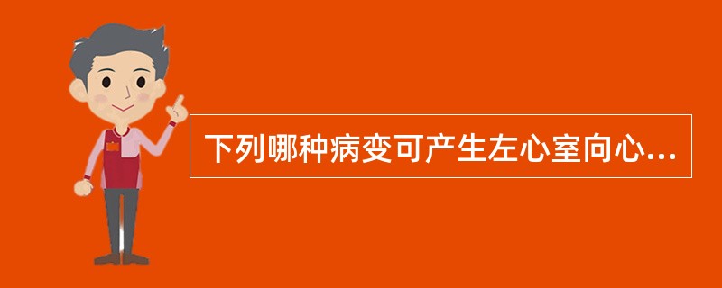 下列哪种病变可产生左心室向心性肥厚