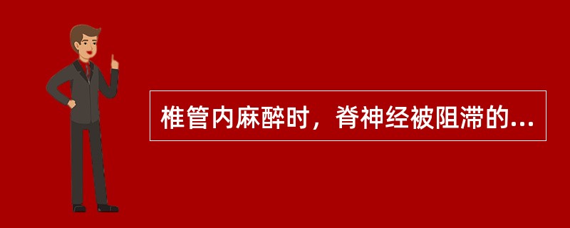 椎管内麻醉时，脊神经被阻滞的先后顺序