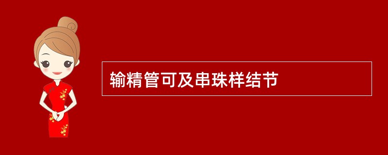 输精管可及串珠样结节