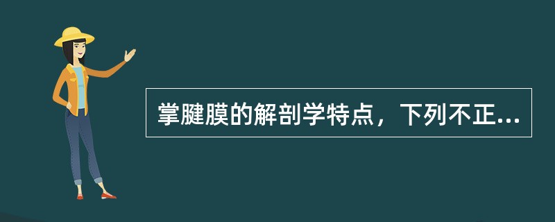 掌腱膜的解剖学特点，下列不正确的是