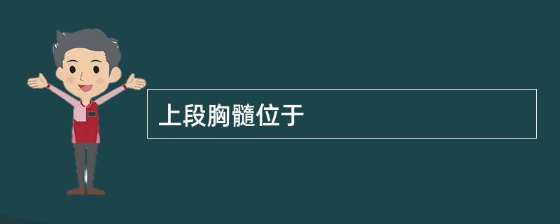 上段胸髓位于