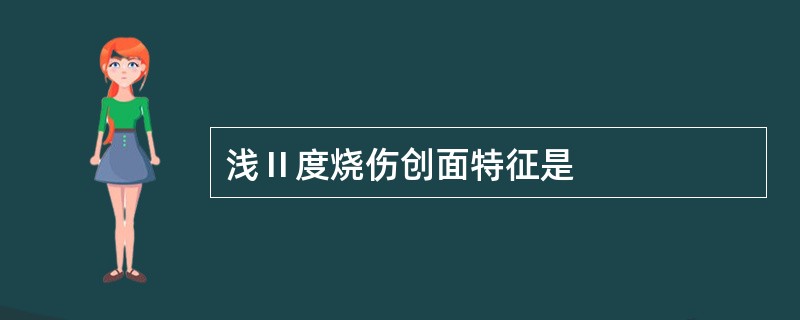 浅Ⅱ度烧伤创面特征是