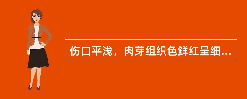 伤口平浅，肉芽组织色鲜红呈细颗粒状宜用