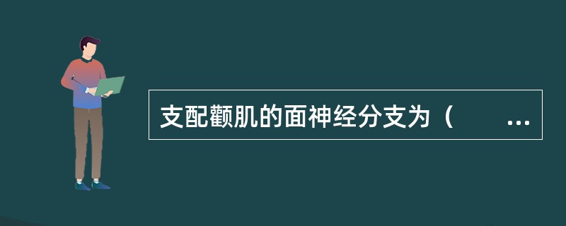 支配颧肌的面神经分支为（　　）。