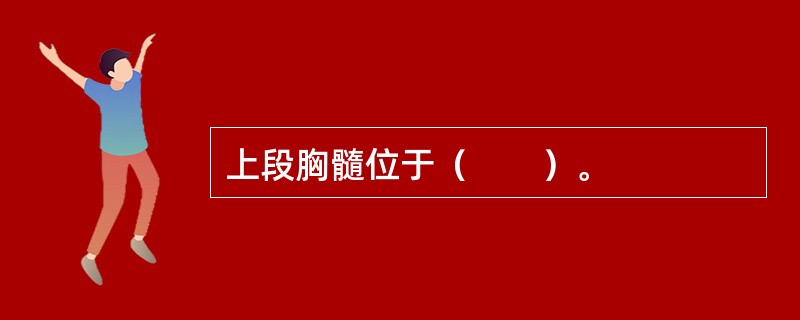 上段胸髓位于（　　）。