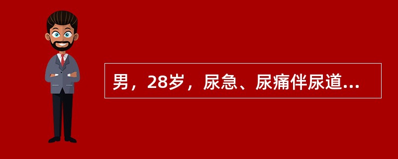 男，28岁，尿急、尿痛伴尿道口脓性分泌物2天就诊，患者否认有不洁性行为史。下列哪项是最适宜的进一步检查？（　　）