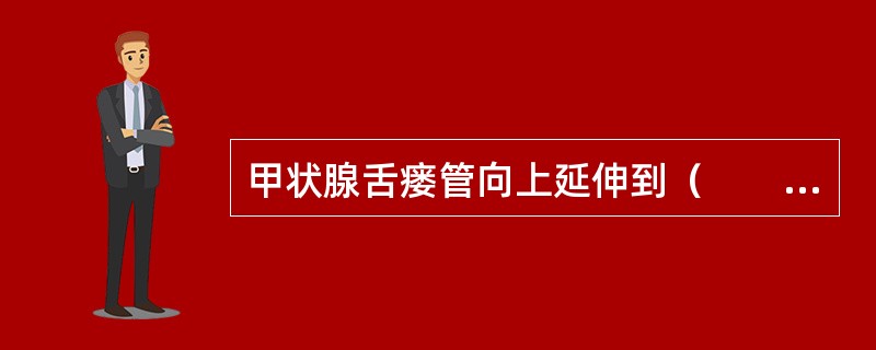 甲状腺舌瘘管向上延伸到（　　）。