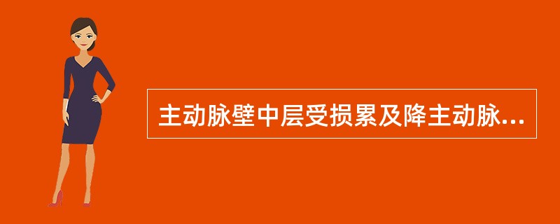 主动脉壁中层受损累及降主动脉（　　）。