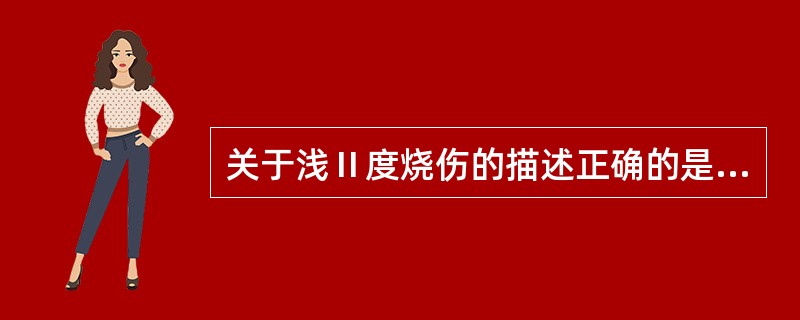 关于浅Ⅱ度烧伤的描述正确的是（　　）。