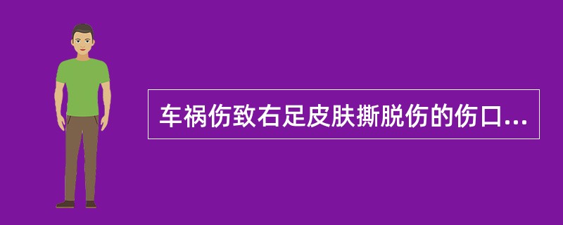 车祸伤致右足皮肤撕脱伤的伤口为（　　）。