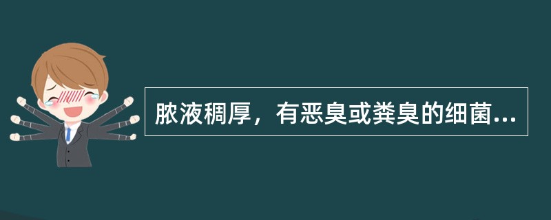 脓液稠厚，有恶臭或粪臭的细菌是（　　）。