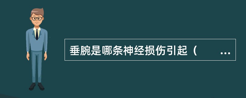 垂腕是哪条神经损伤引起（　　）。