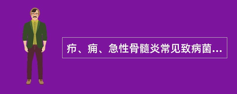 疖、痈、急性骨髓炎常见致病菌（　　）。