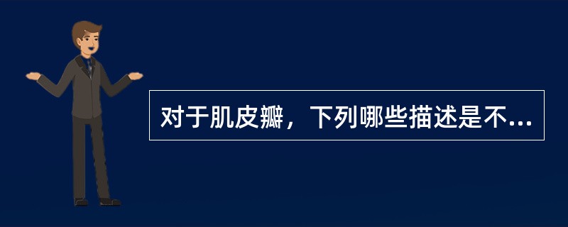 对于肌皮瓣，下列哪些描述是不恰当的？（　　）