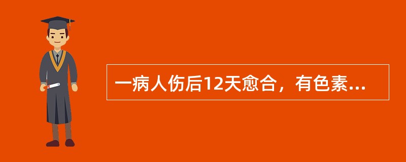 一病人伤后12天愈合，有色素沉着，当时烧伤深度为（　　）。